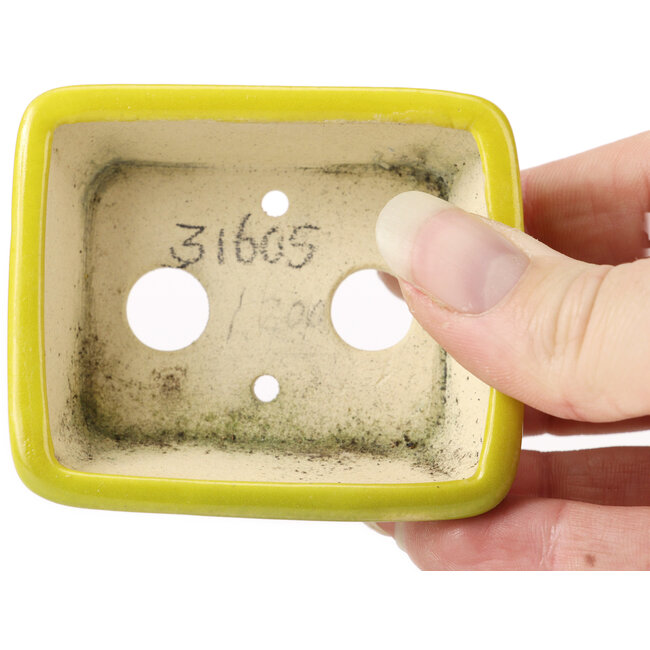 Vaso bonsai giallo rettangolare di Seto - 70 x 60 x 25 mm