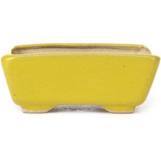 Seto 75 mm rectangular yellow bonsai pot by Seto, Japan