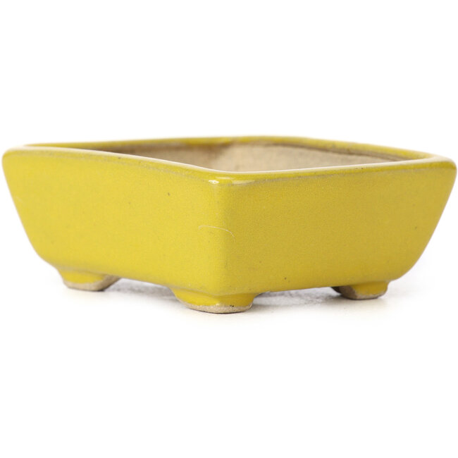 Maceta de bonsái amarilla rectangular de Seto - 75 x 60 x 30 mm