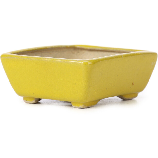Rectangular yellow bonsai pot by Seto - 75 x 60 x 30 mm