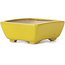 Pot à bonsaï rectangulaire jaune par Seto - 75 x 60 x 30 mm