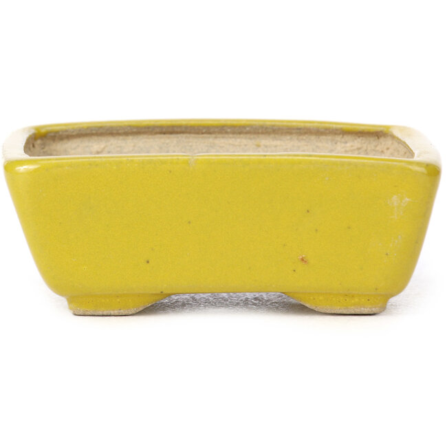 Maceta de bonsái amarilla rectangular de Seto - 75 x 60 x 30 mm