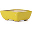 Pot à bonsaï rectangulaire jaune par Seto - 75 x 60 x 30 mm