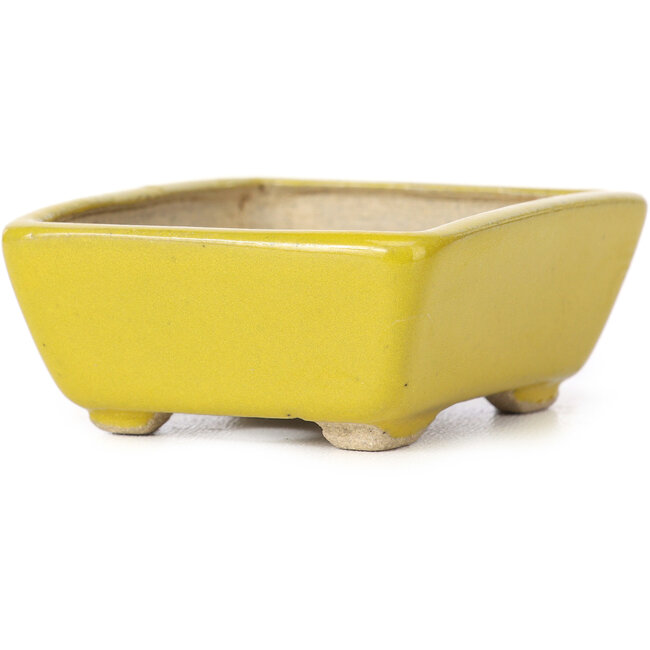 Pot à bonsaï rectangulaire jaune par Seto - 75 x 60 x 30 mm