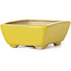 Pot à bonsaï rectangulaire jaune par Seto - 75 x 60 x 30 mm