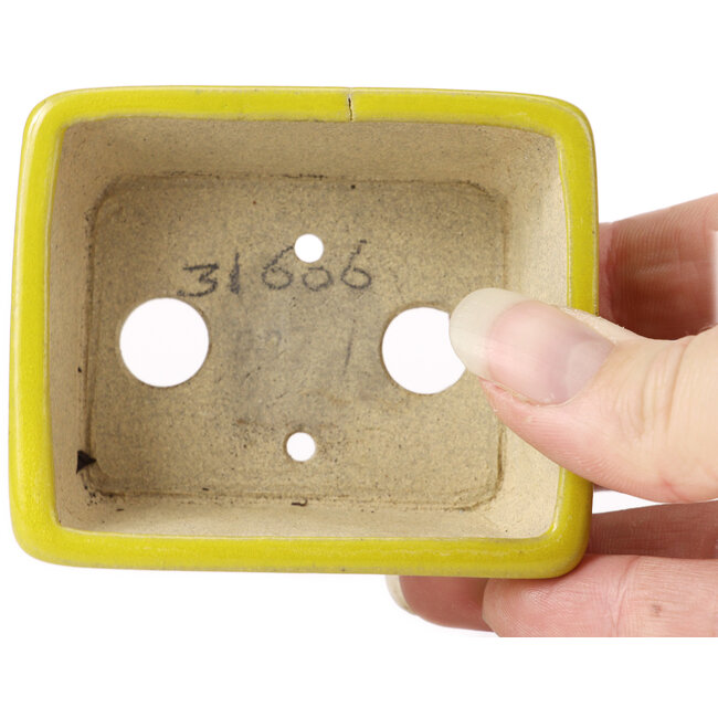 Vaso bonsai giallo rettangolare di Seto - 75 x 60 x 30 mm