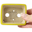 Pot à bonsaï rectangulaire jaune par Seto - 75 x 60 x 30 mm