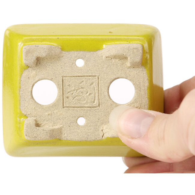 Pot à bonsaï rectangulaire jaune par Seto - 75 x 60 x 30 mm