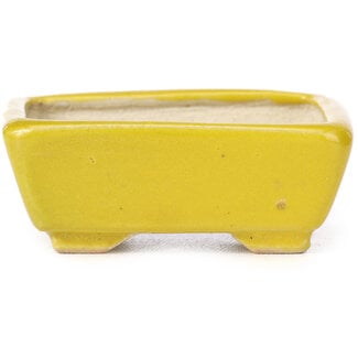 Seto 70 mm rectangular yellow bonsai pot by Seto, Japan