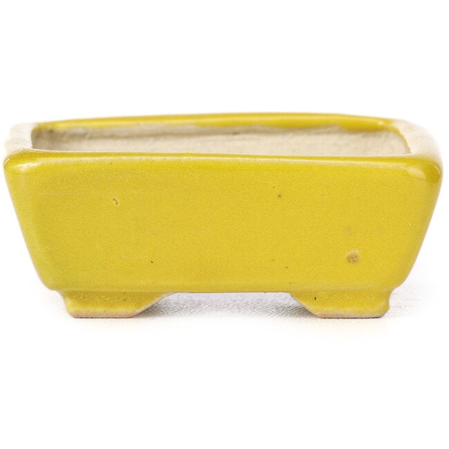 Rectangular yellow bonsai pot by Seto - 70 x 55 x 30 mm