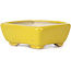 Pot à bonsaï rectangulaire jaune par Seto - 70 x 55 x 30 mm