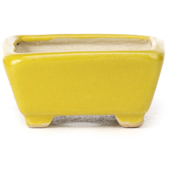 Vaso bonsai giallo rettangolare di Seto - 70 x 55 x 30 mm