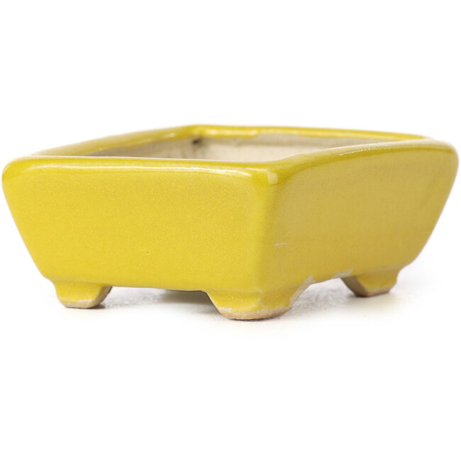 Maceta de bonsái amarilla rectangular de Seto - 70 x 55 x 30 mm