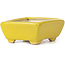 Pot à bonsaï rectangulaire jaune par Seto - 70 x 55 x 30 mm