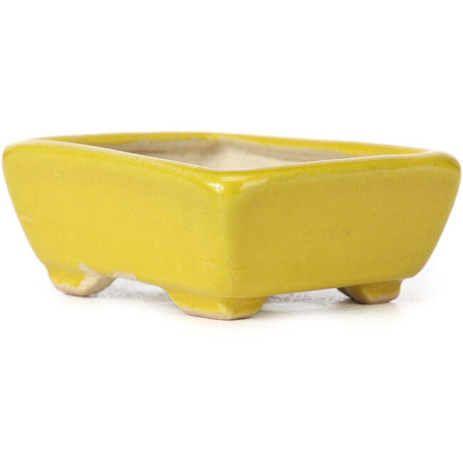 Vaso bonsai giallo rettangolare di Seto - 70 x 55 x 30 mm