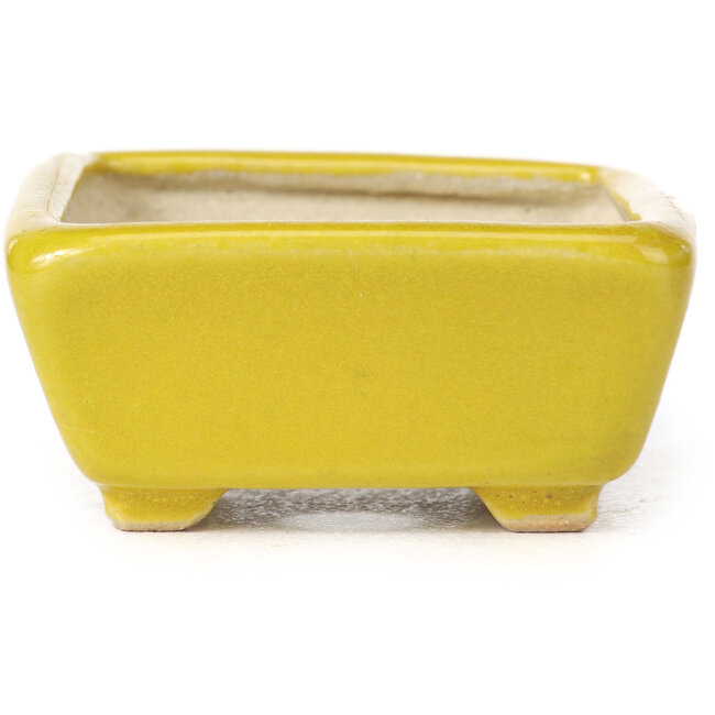 Rechteckige gelbe Bonsaischale von Seto - 70 x 55 x 30 mm