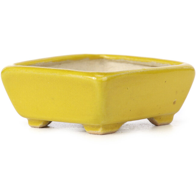 Maceta de bonsái amarilla rectangular de Seto - 70 x 55 x 30 mm
