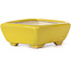 Pot à bonsaï rectangulaire jaune par Seto - 70 x 55 x 30 mm