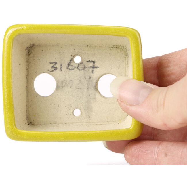 Pot à bonsaï rectangulaire jaune par Seto - 70 x 55 x 30 mm