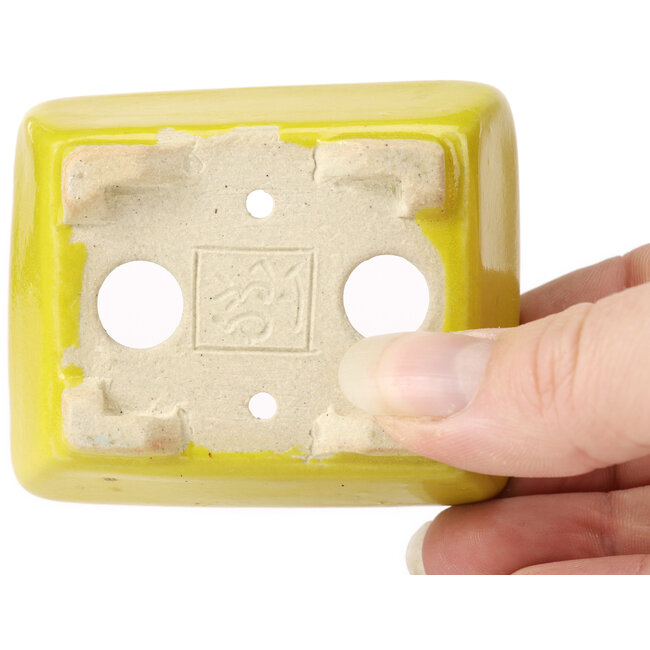 Pot à bonsaï rectangulaire jaune par Seto - 70 x 55 x 30 mm