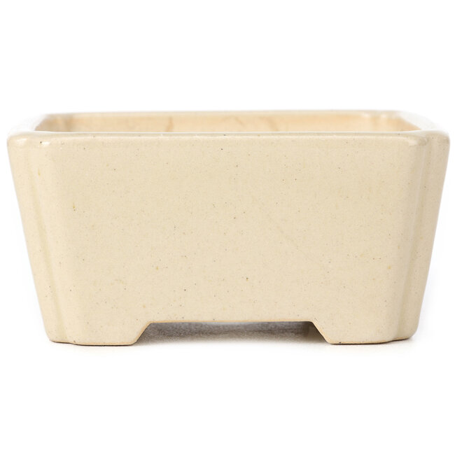 Square beige bonsai pot - 125 x 125 x 60 mm