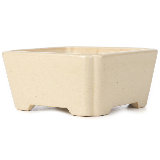 Square beige bonsai pot - 125 x 125 x 60 mm