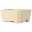 Square beige bonsai pot - 125 x 125 x 60 mm