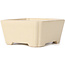 Square beige bonsai pot - 125 x 125 x 60 mm