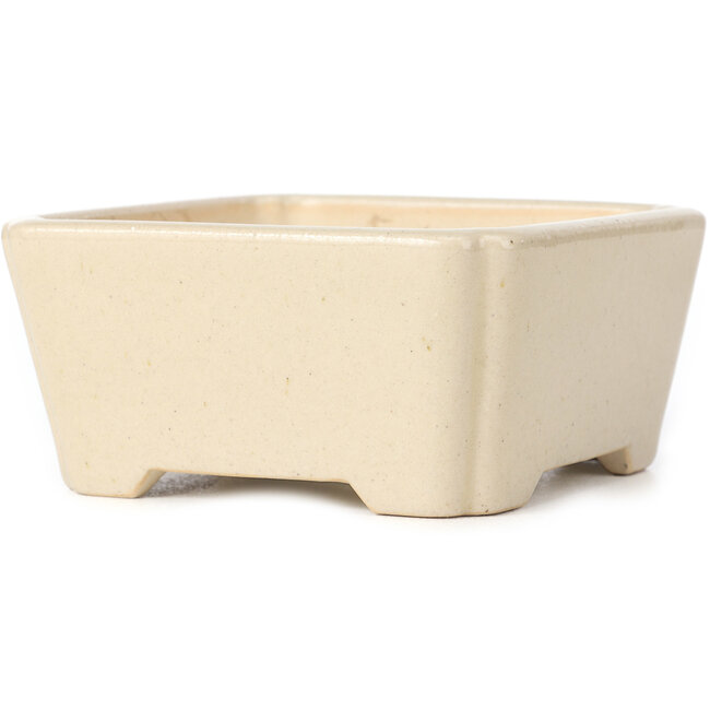 Vaso bonsai quadrato beige - 125 x 125 x 60 mm