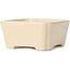 Square beige bonsai pot - 125 x 125 x 60 mm