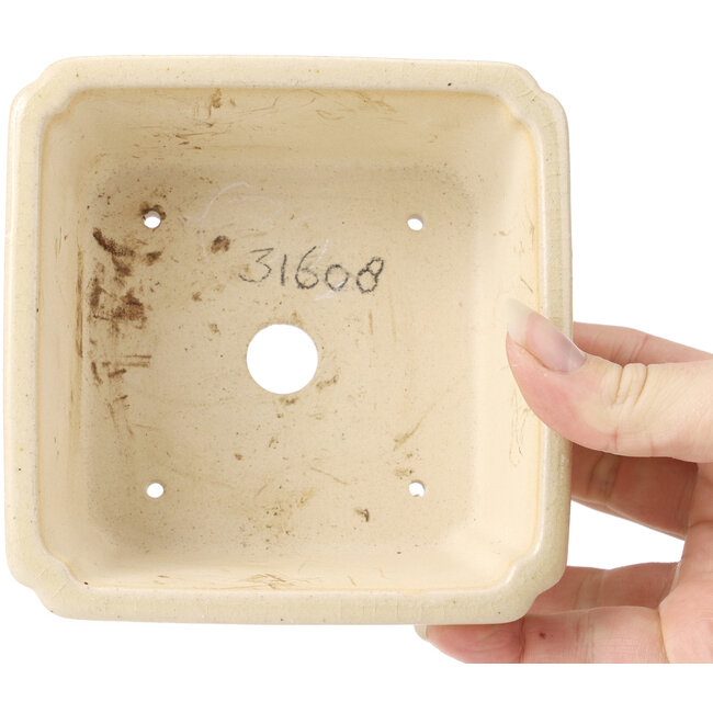 Vaso bonsai quadrato beige - 125 x 125 x 60 mm