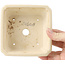 Square beige bonsai pot - 125 x 125 x 60 mm