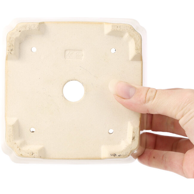 Pot à bonsaï carré beige - 125 x 125 x 60 mm