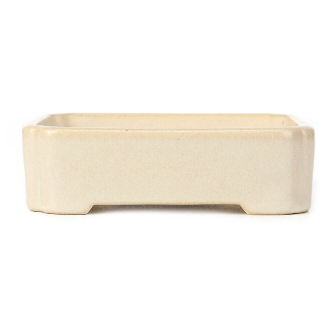 Rectangular beige bonsai pot - 130 x 110 x 40 mm