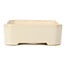 Rectangular beige bonsai pot - 130 x 110 x 40 mm