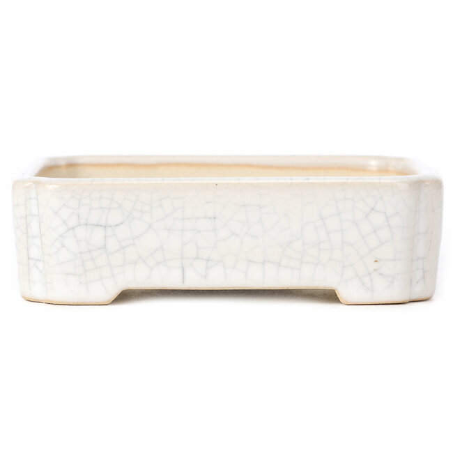 Rechthoekige witte bonsaipot - 125 x 105 x 35 mm