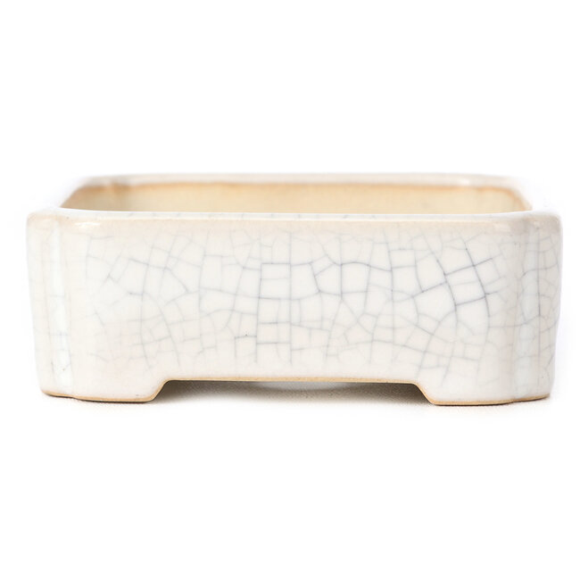 Pot à bonsaï rectangulaire blanc - 125 x 105 x 35 mm