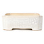 Maceta de bonsái blanca rectangular - 125 x 105 x 35 mm