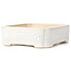 Maceta de bonsái blanca rectangular - 125 x 105 x 35 mm
