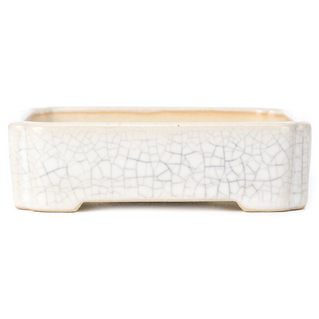 Rectangular white bonsai pot - 125 x 105 x 35 mm