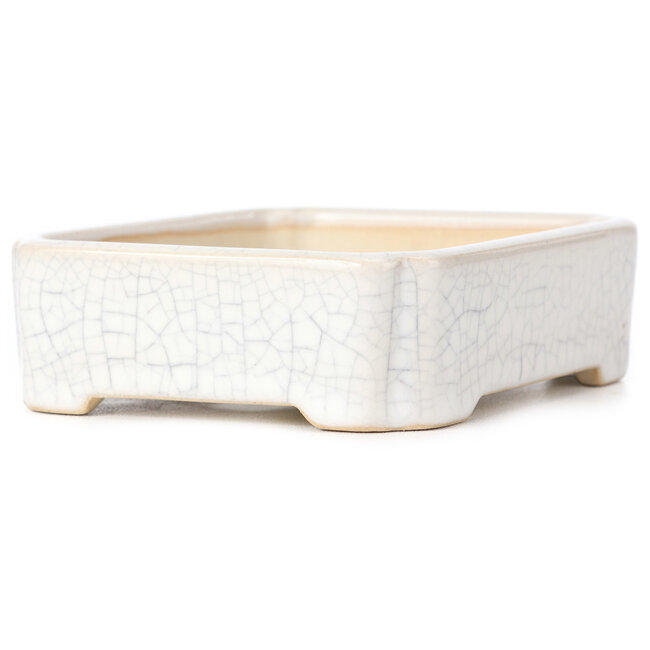 Rechthoekige witte bonsaipot - 125 x 105 x 35 mm