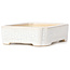 Maceta de bonsái blanca rectangular - 125 x 105 x 35 mm