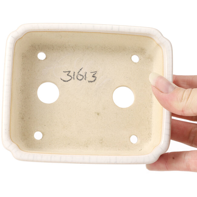 Pot à bonsaï rectangulaire blanc - 125 x 105 x 35 mm