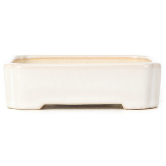 125 mm rechthoekige witte pot uit China