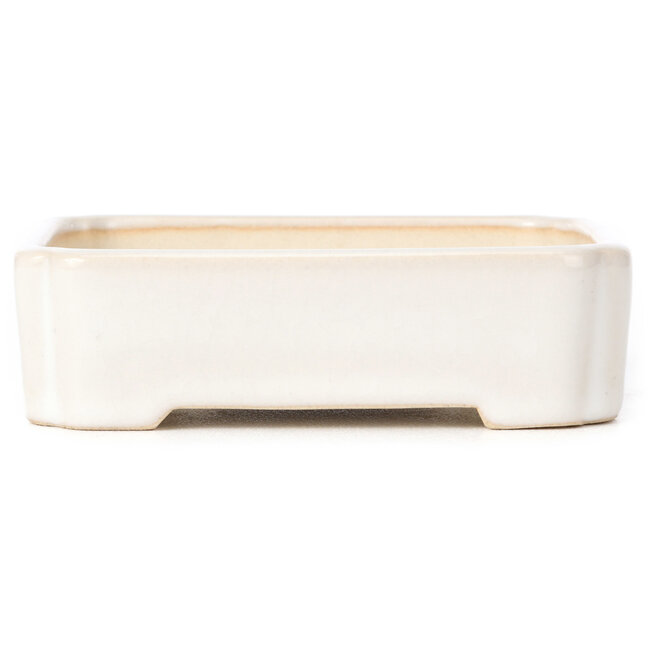 Rectangular white bonsai pot - 125 x 105 x 35 mm