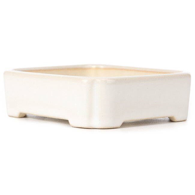 Maceta de bonsái blanca rectangular - 125 x 105 x 35 mm