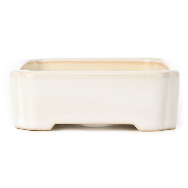 Vaso bonsai rettangolare bianco - 125 x 105 x 35 mm