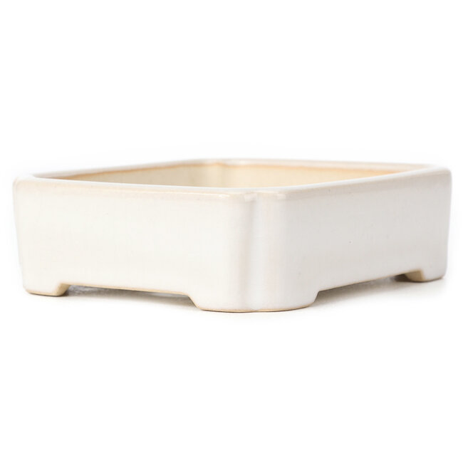 Rectangular white bonsai pot - 125 x 105 x 35 mm