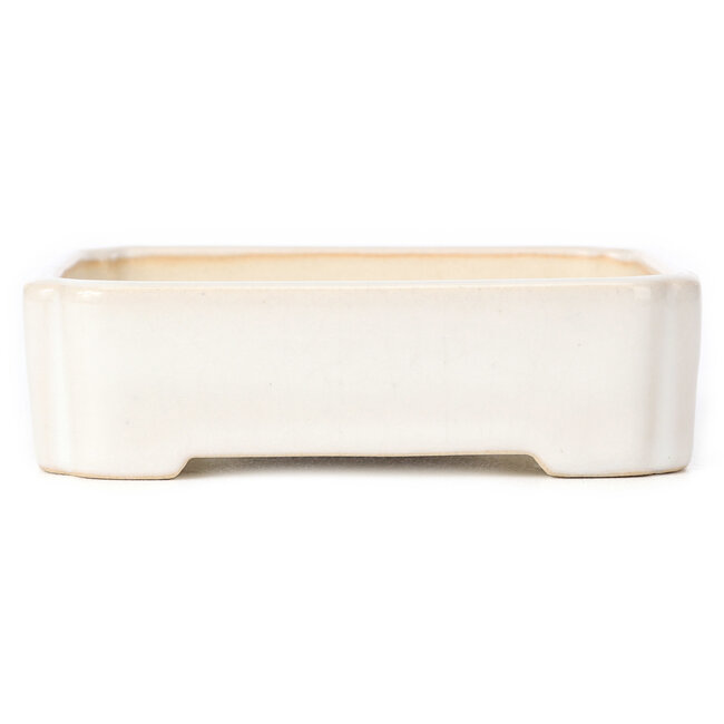 Vaso bonsai rettangolare bianco - 125 x 105 x 35 mm