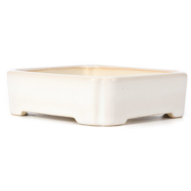 Vaso bonsai rettangolare bianco - 125 x 105 x 35 mm